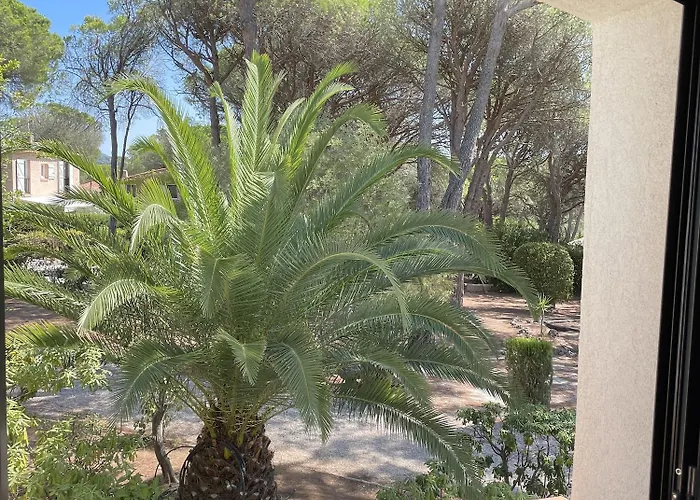 Hotel Le Confidentiel & 4*